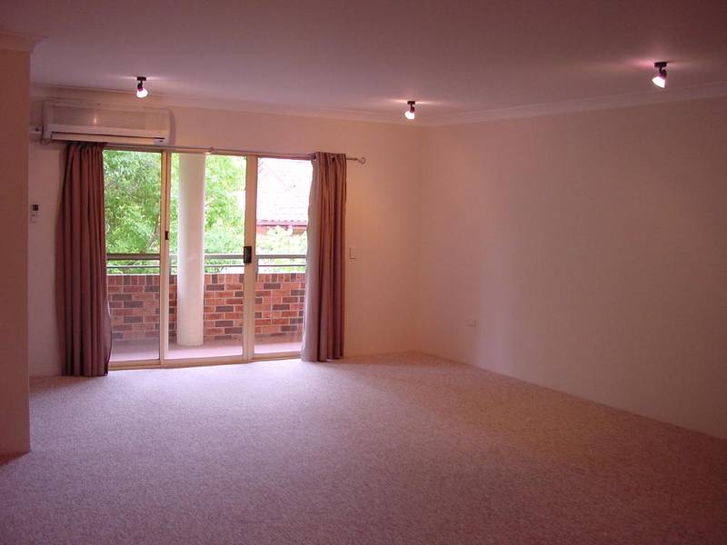 BRONTOSAURUS BIG! Picture 3