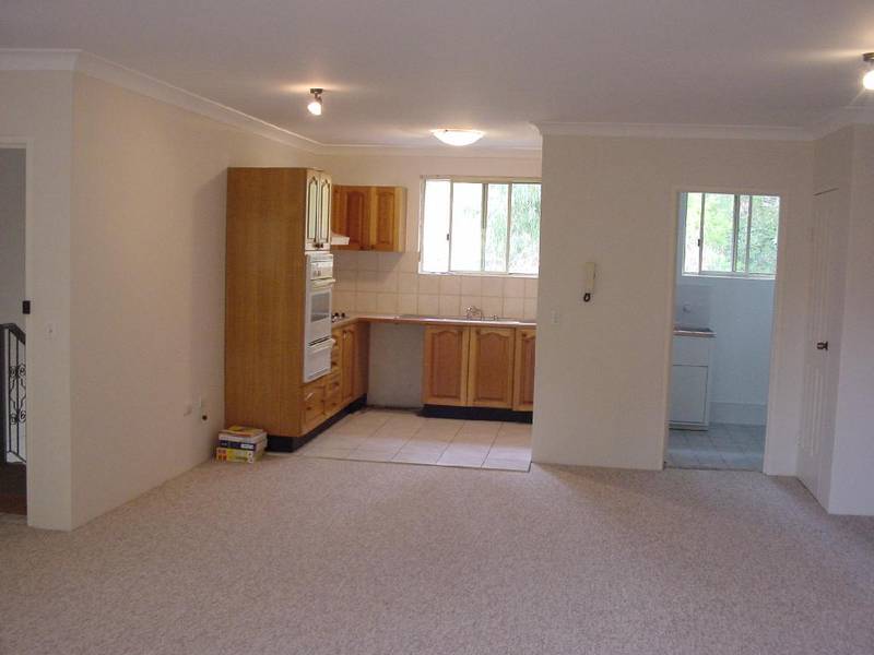 BRONTOSAURUS BIG! Picture 2