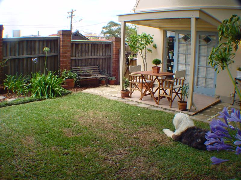 PET FRIENDLY PAD! Picture 2