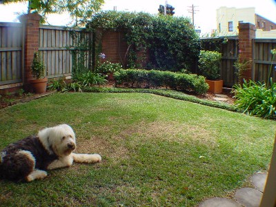 PET FRIENDLY PAD! Picture PET FRIENDLY PAD! Picture