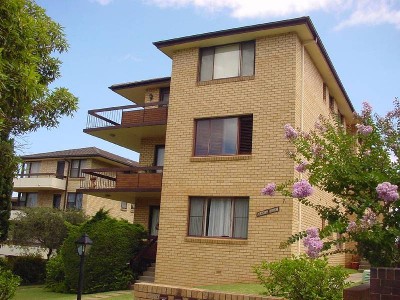 NEW YEAR'S BARGAIN! Picture NEW YEAR'S BARGAIN! Picture