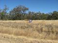 Vacant Land - Condamine Picture