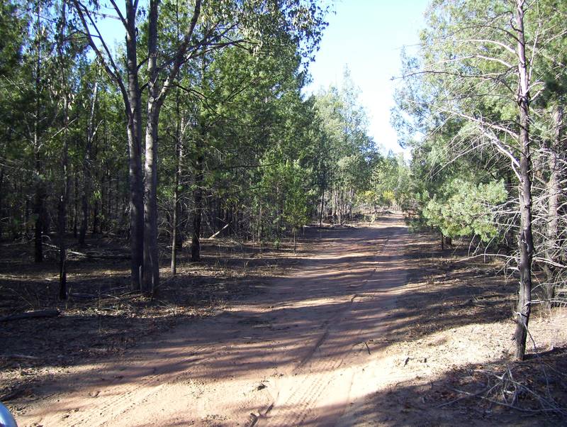 Looking for Space on Top of the Range Picture 1