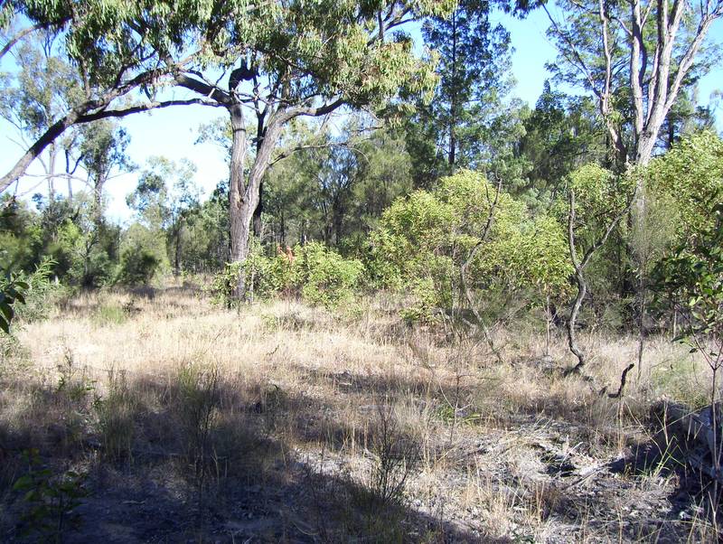 Looking for Space on Top of the Range Picture 2