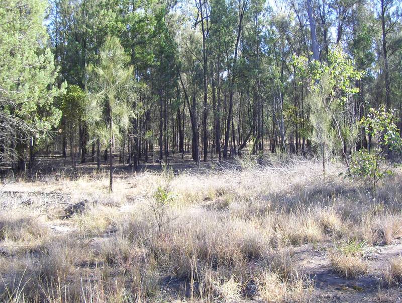 Looking for Space on Top of the Range Picture 3