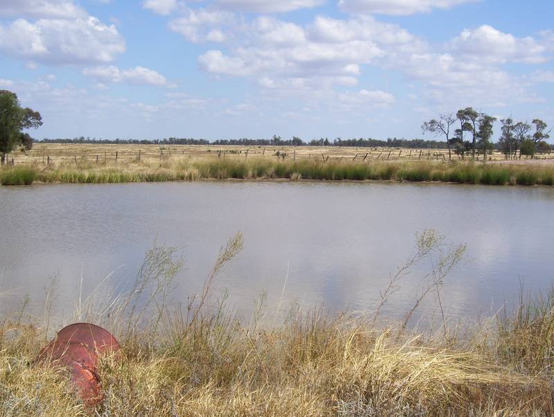 Oxford Downs - Miles Picture 2