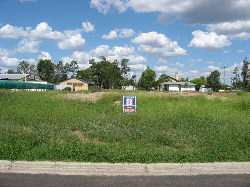 One For The Developer Picture 1