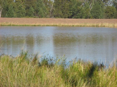 Excellent Lifestyle Close to Town Picture