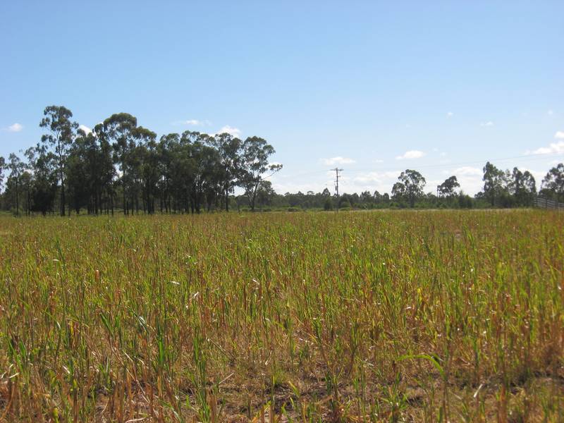 Excellent Lifestyle Close to Town Picture 3