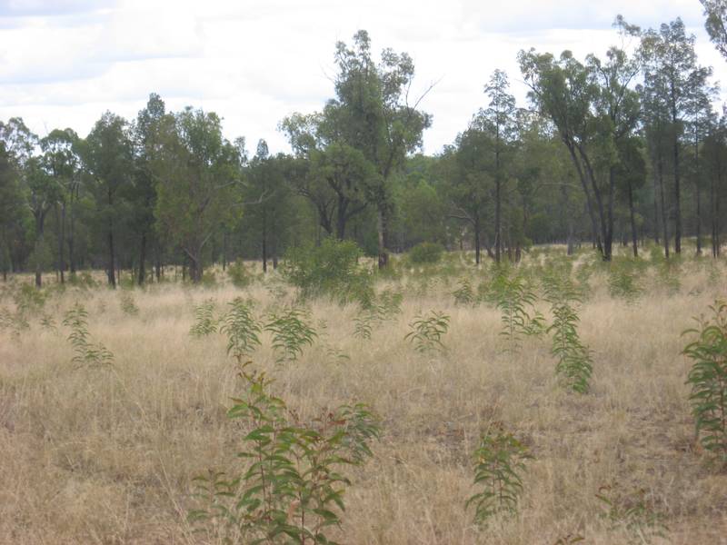 Ideal Starter or Hobby Block Picture 3