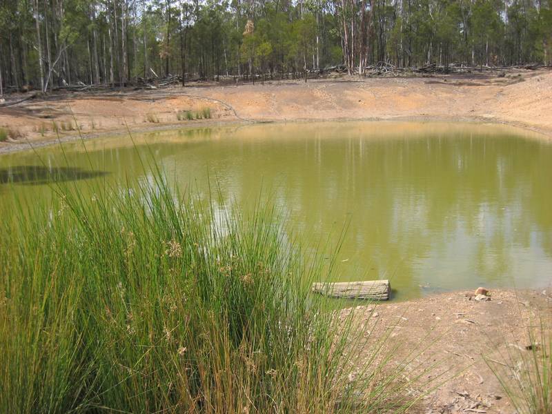 A Rare Find Picture 2