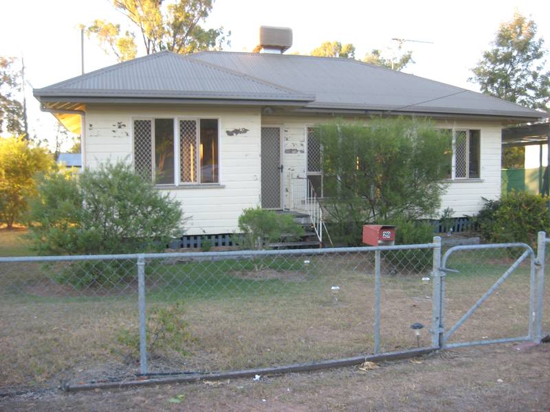 All You Need Picture 1