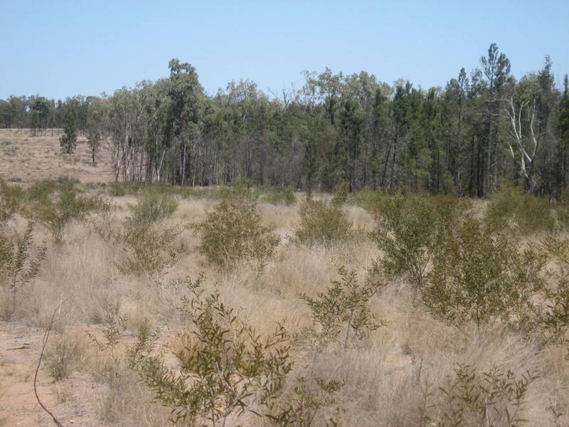 Vacant - Acreage Two Minutes to Town Picture 1