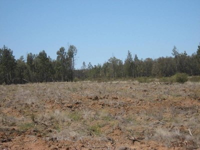 Acreage only Minutes to Town Picture Acreage only Minutes to Town Picture