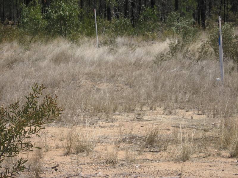 Acreage only Minutes to Town Picture 3