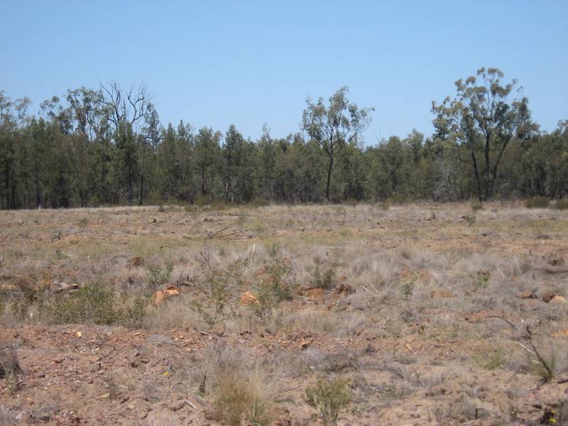 Acreage only Minutes to Town Picture 2