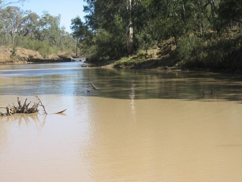 On The Banks Of The Condamine River Picture 1