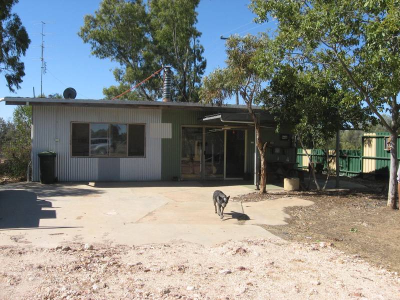 On The Banks Of The Condamine River Picture 3