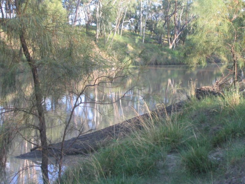 Condamine River Country with Permanent Water Picture 2