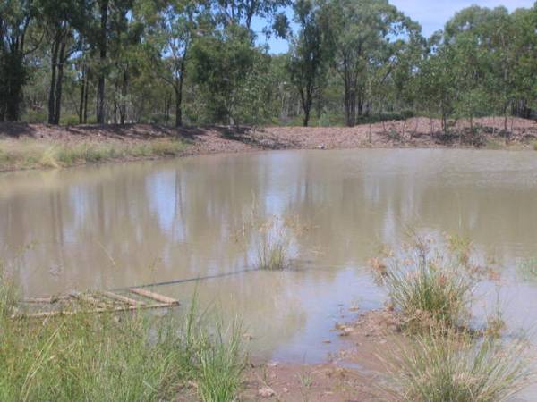 Good Home
100 Acres
Only Minutes to Town Picture 2