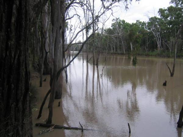 Magnificent Water - 5 Km to Miles - Price Reduced Picture 1