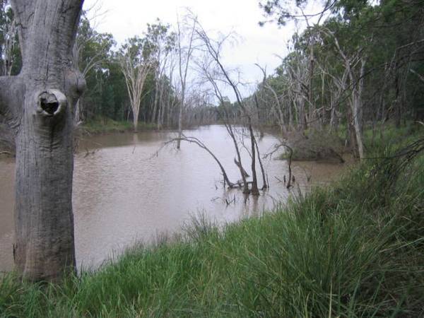 Magnificent Water - 5 Km to Miles - Price Reduced Picture 2