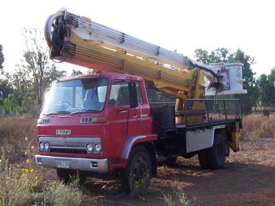 Tree Lopping Business Picture