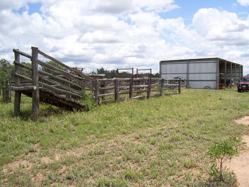 Magnificient Property on the Condamine River - 82 Acres Picture 2