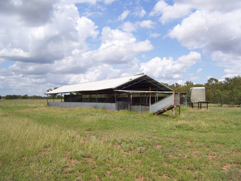 Magnificient Property on the Condamine River - 82 Acres Picture 3