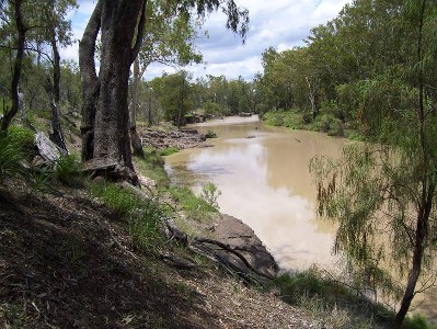 Magnificient Property on the Condamine River - 82 Acres Picture