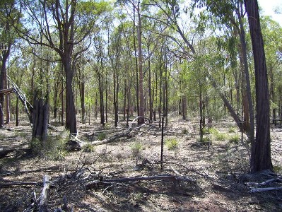 131 Acres North of Miles Picture