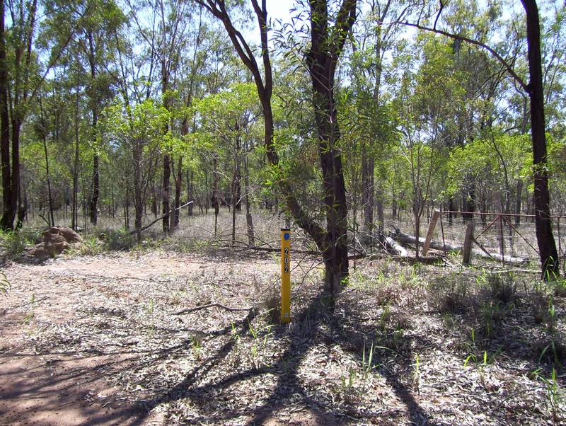 131 Acres North of Miles Picture 2