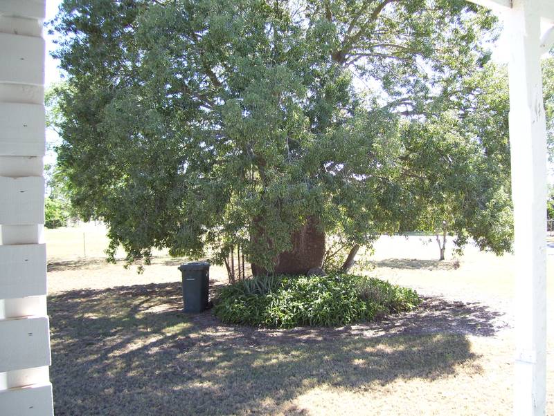 Cheaper Than Renting Picture 2