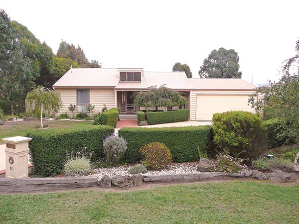 Surprises a plenty Picture 1