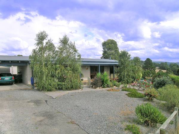 Song Birds & Sunsets! Picture 1