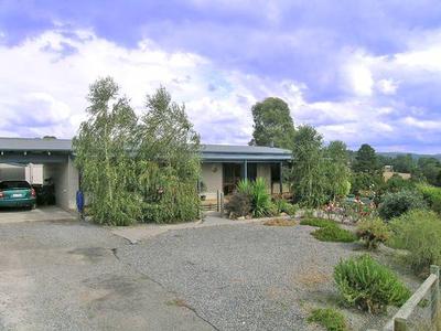 Song Birds & Sunsets! Picture Song Birds & Sunsets! Picture