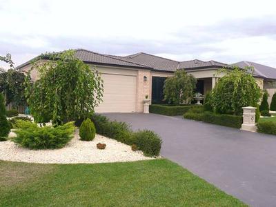 Immaculated! Picture Immaculated! Picture