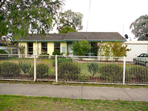 Cheap, cheap, cheap! Picture 1