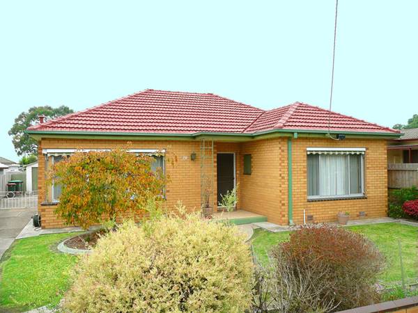 Loads of Options Picture 1