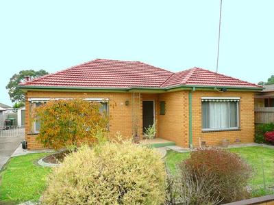 Loads of Options Picture