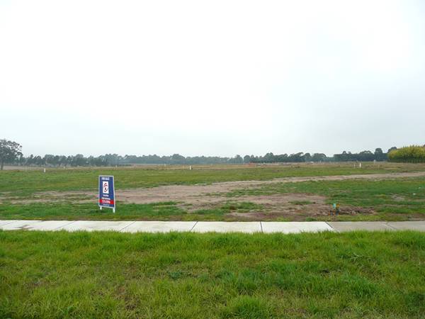 One of the best! Picture 2