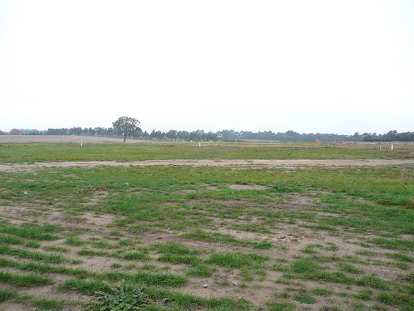 One of the best! Picture 1