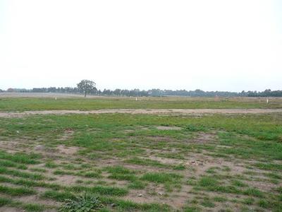 One of the best! Picture