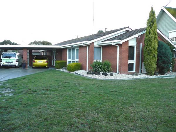 Ticks all the boxes Picture 1