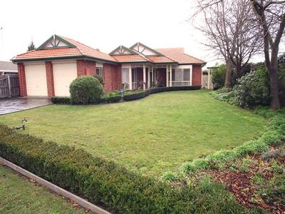 Memories! Picture Memories! Picture