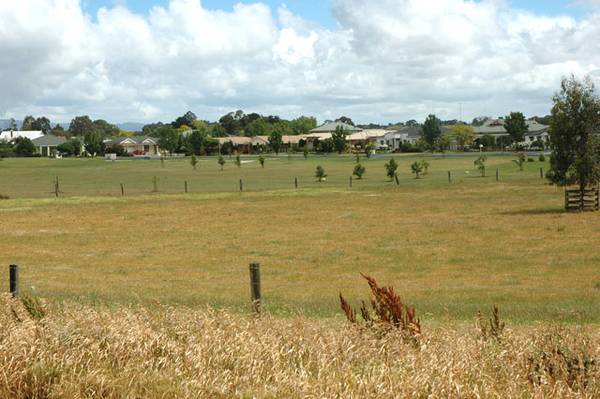 The Last Of Its Kind! Picture 3