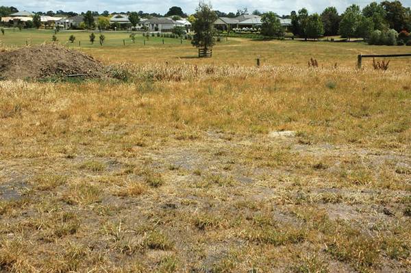 The Last Of Its Kind! Picture 2