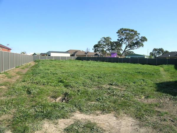 An absolute beauty Picture 1