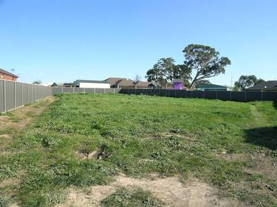 An absolute beauty Picture