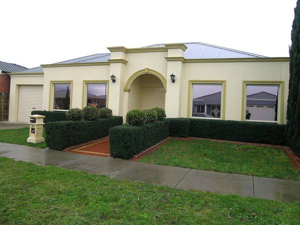 ELEGANCE PLUS Picture 1